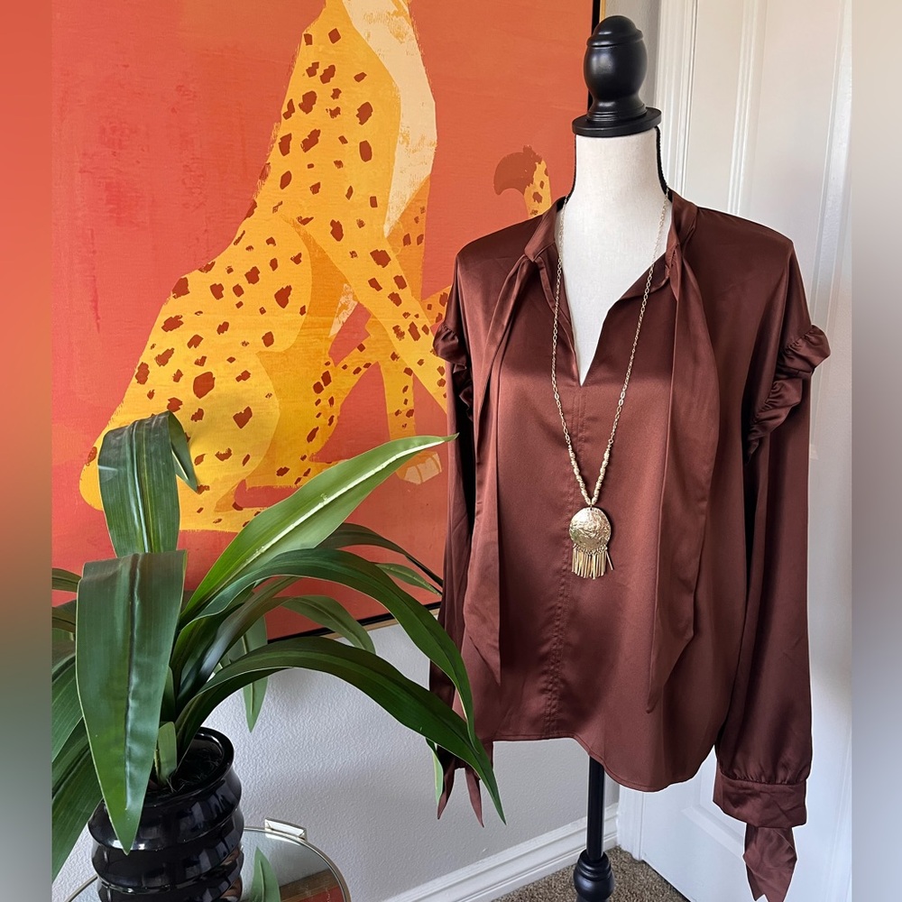 Express Brown Long Sleeve Satin Blouse Size L Ruffles Bow Ties NWT